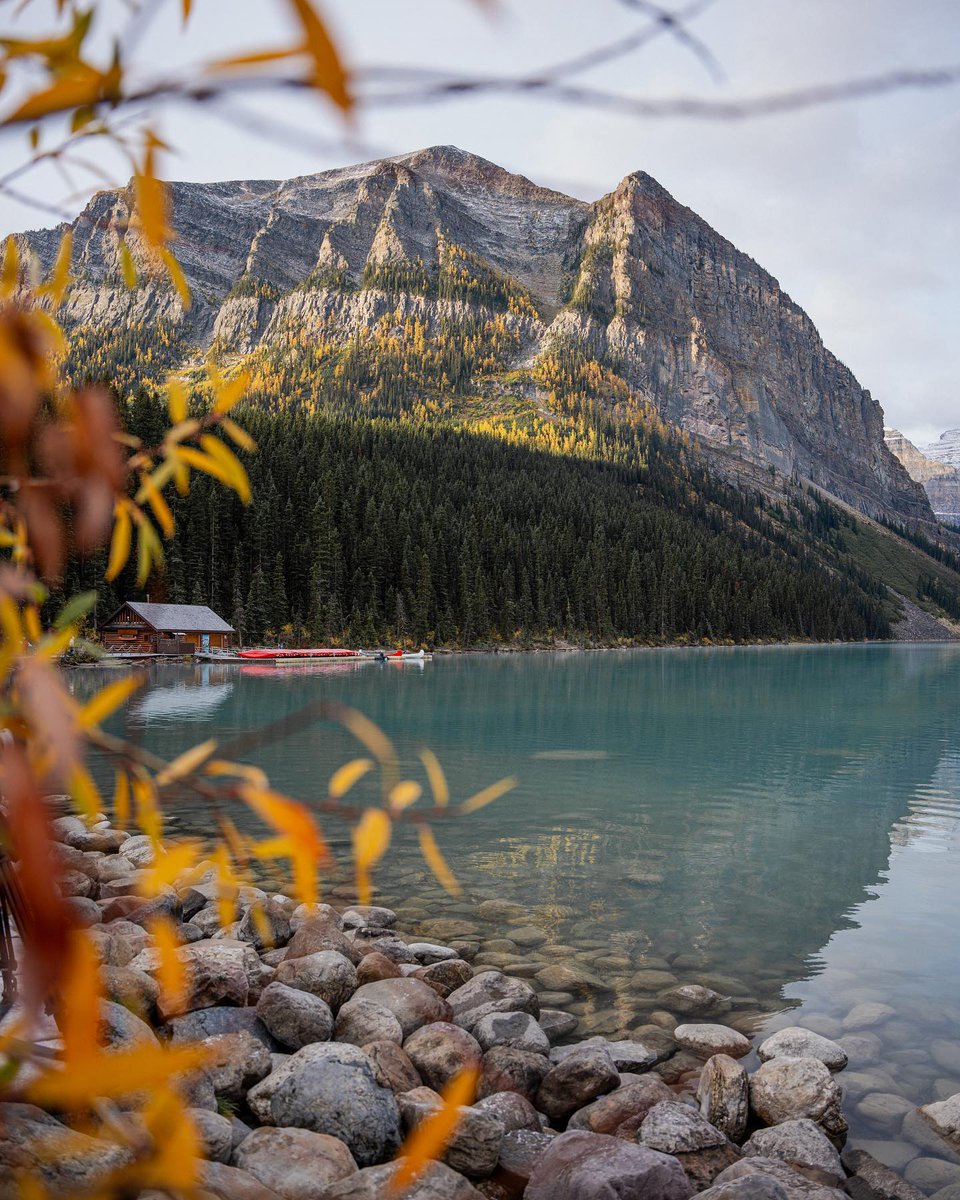 banfflakelouise tweet picture