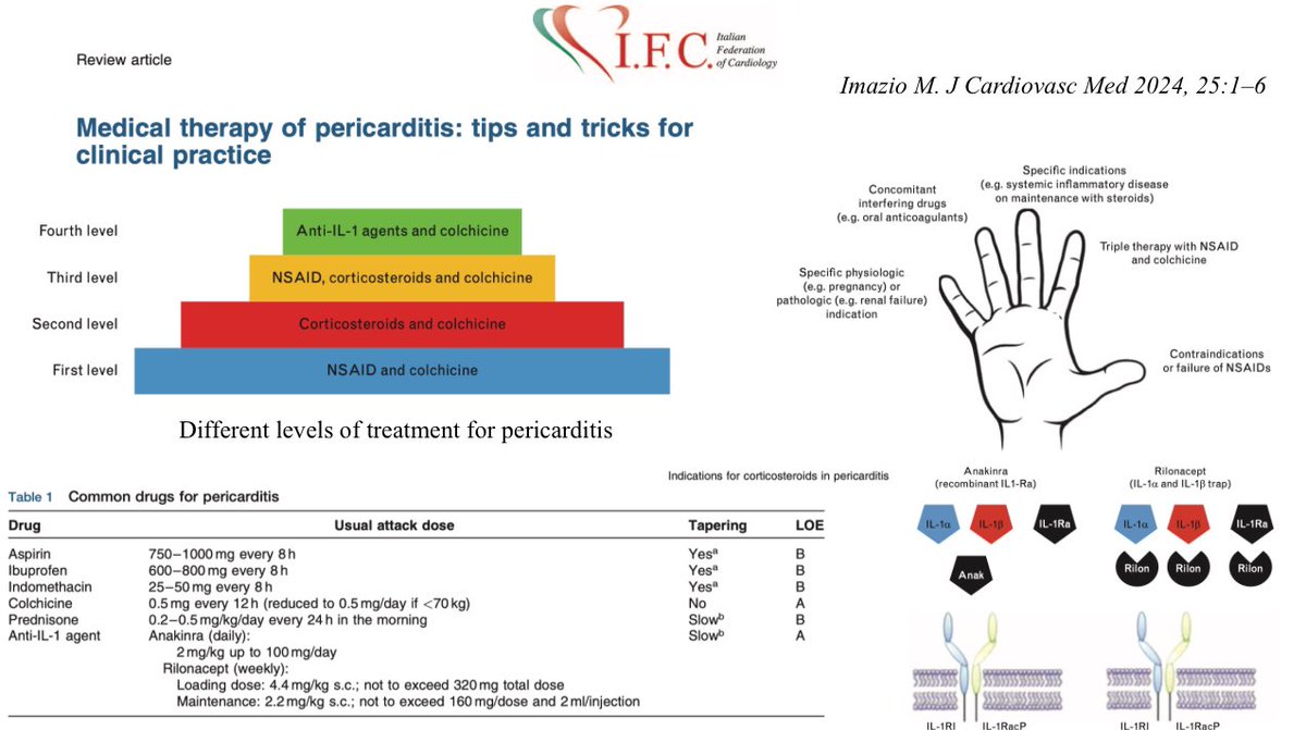 Medical therapy of pericarditis: my tips and tricks for clinical practice: Journal of Cardiovascular Medicine journals.lww.com/jcardiovascula…