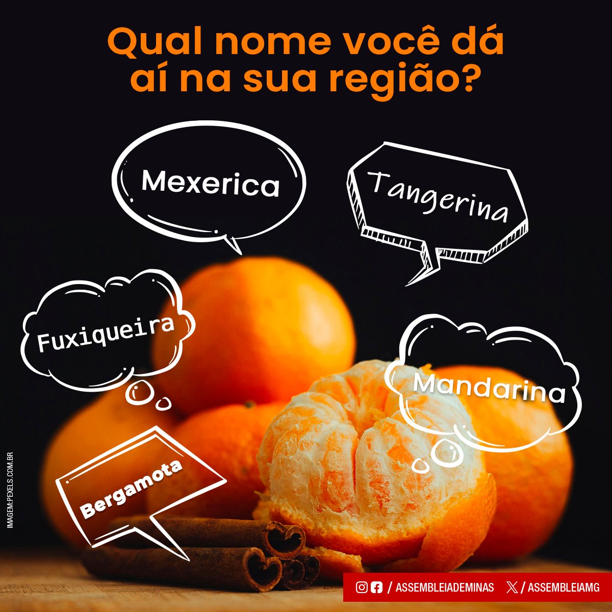Mexerica, bergamota, mimosa, laranja-cravo, tangerina, fuxiqueira