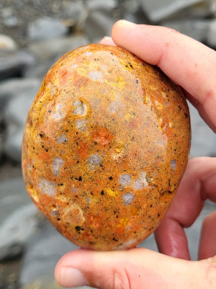 A bright orange piece of granitic rock - I've never found a bit with this colour before. Likely dragged down to County Clare from Galway by glaciers during the last ice age. Is there a specific name for this kind of rock? @DrSadhbh