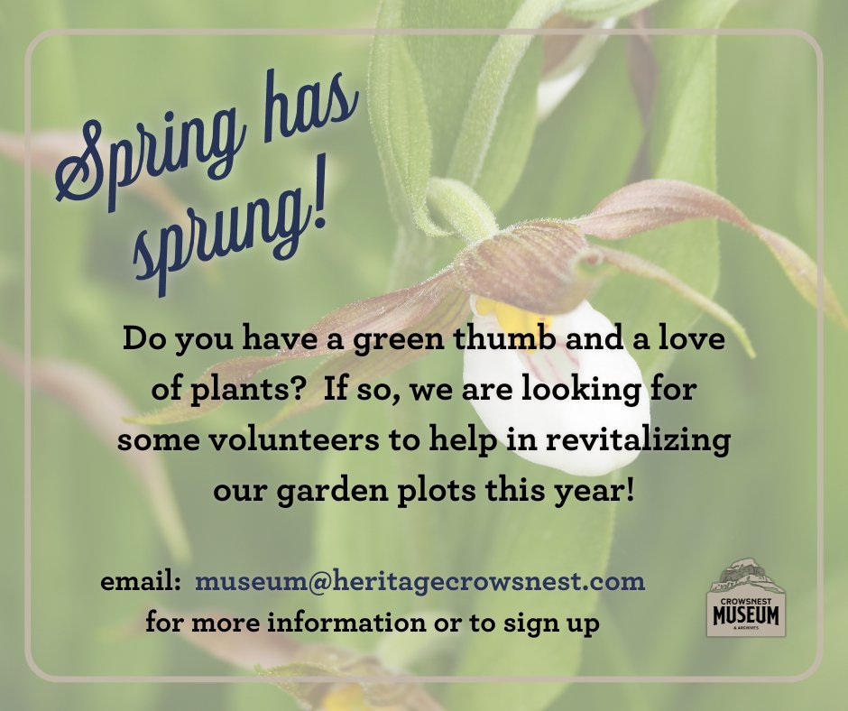 CrowsnestMuseum's tweet photo. Spring has sprung!

Do you have a green thumb and a love of plants?  If so, we are looking for some volunteers to help in revitalizing our garden plots this year!

#spring #gardening #volunteer #crowsnestpass https://t.co/wSxdNv4hu9