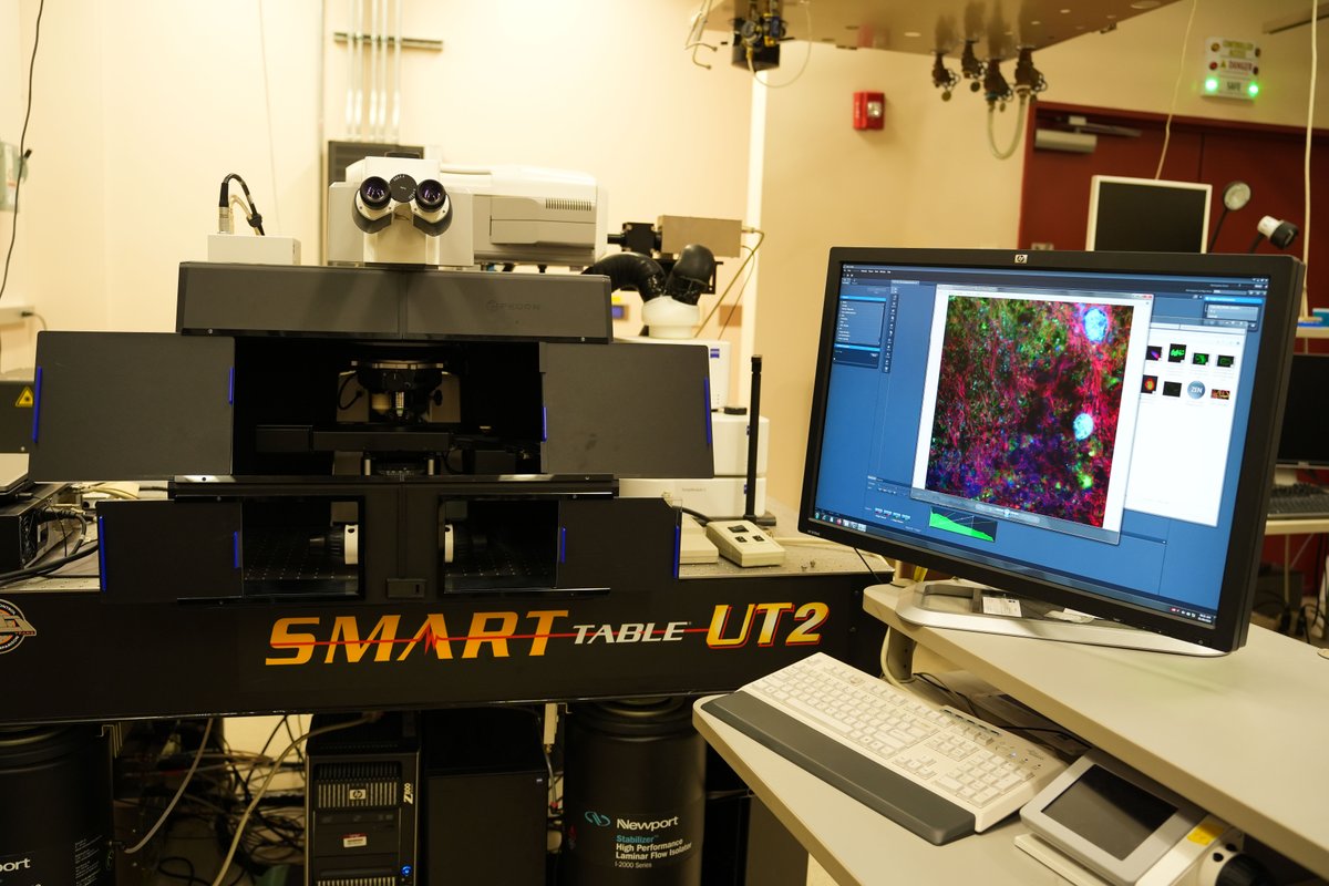 A team from @UMassChan, @UNC, and @EMSLscience used confocal #microscopy to to determine the relationships between the subpopulations of cells within #biofilms. Learn how to apply EMSL's confocal microscopy for your own research: bit.ly/3W2qW5M