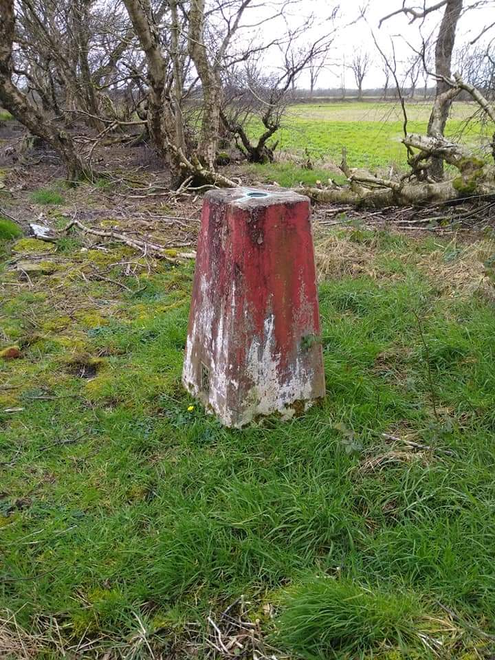It's the 88th birthday of the trig pillar today. Who knows where this one is? Clue: it's in Trafford. Altitude 72 feet. OS Grid ref SJ 74312 91599