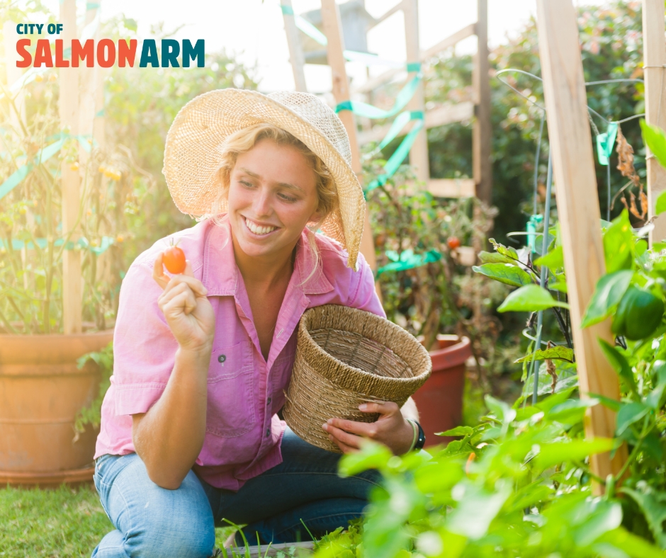 🥦We heard you Salmon Arm food growers! 🍅New for 2024, you can now water your food-producing plants, trees, and shrubs in all four water restriction stages! More Here - facebook.com/CityOfSalmonAr… 
#WaterConservation #FoodSecurity #SalmonArm #CityofSalmonArm