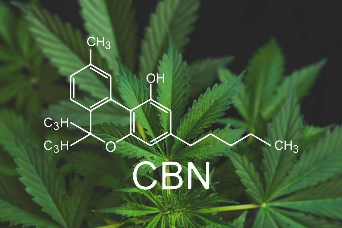 Unlocking The Potential Of CBN, The Lesser-Known Compound In Cannabis

medcarefarms.com/cbn/