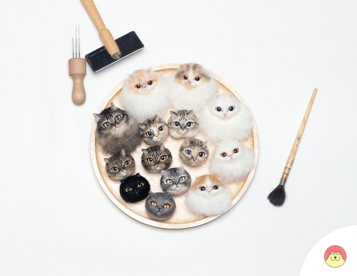 memwa_handmade's tweet image. กลับบ้านกันนนนนน🥰 ลูกๆใครบ้างน้าา
งานหัวเล็กแฟนตาซีคลาสสิคตลอดกาล❤️
📩 สนใจสอบถามสั่งทำได้ตลอดเลยค่าาาาาาาา

.
#Memwa #เราใส่ใจทุกขั้นตอน
#minicat #minidog #handmade #needlefelting #needlefelt #woolart #cat #catart #catface #dog #dogart #dogface