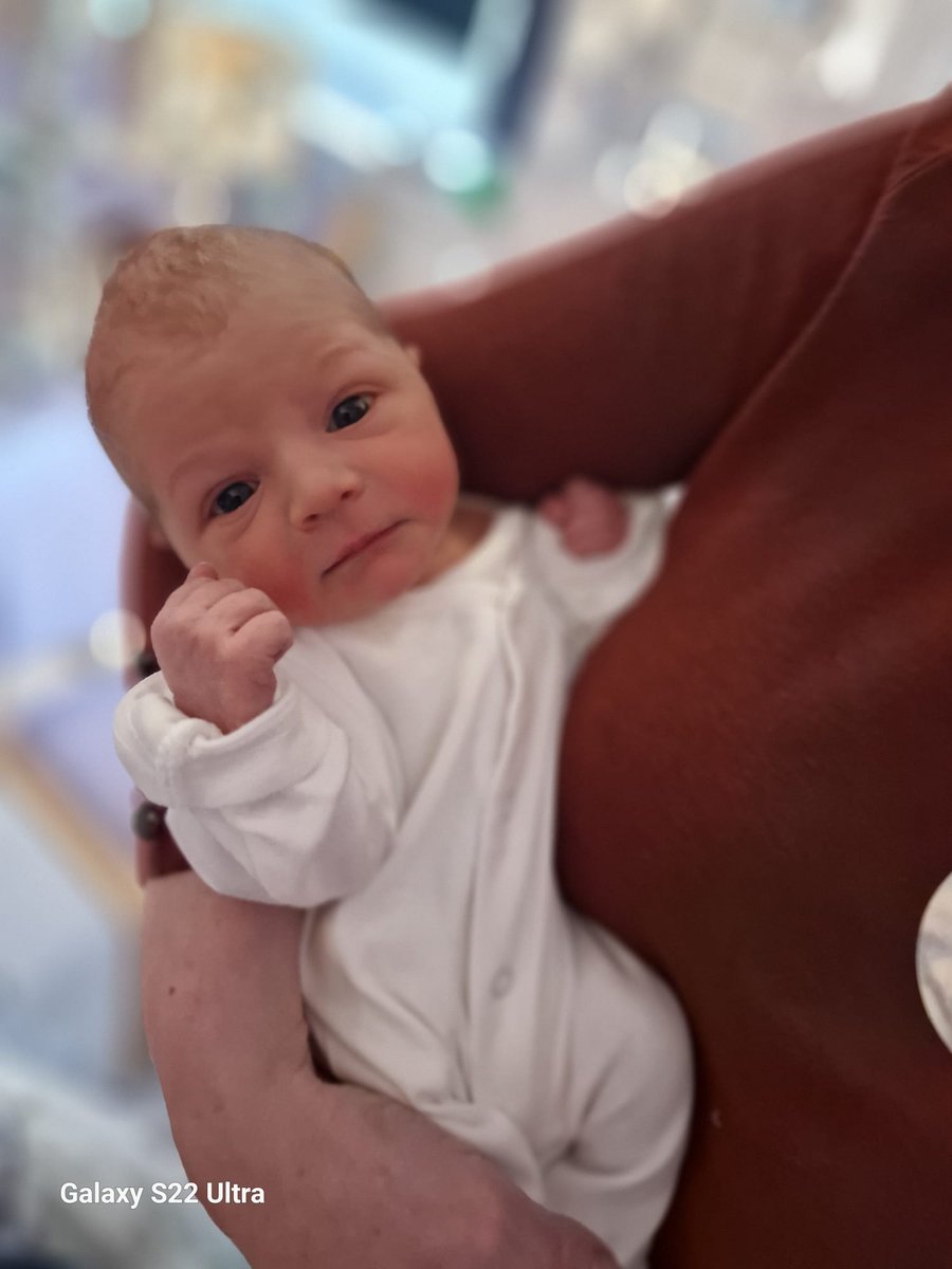 Mark McCallum tweet media