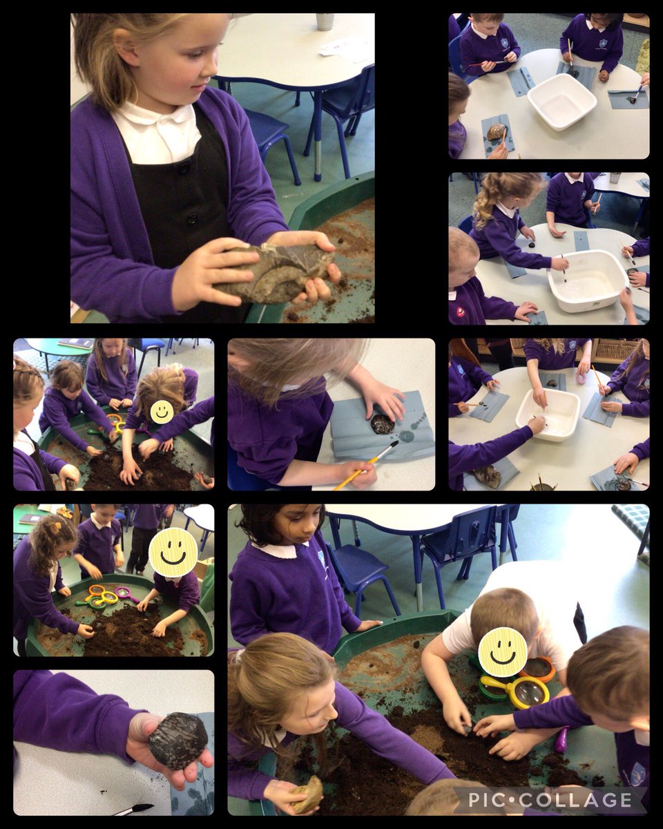 Badgers became palaeontologists today, learning about the past, digging for fossils. @GrasmereAcademy @HistoryPrimary