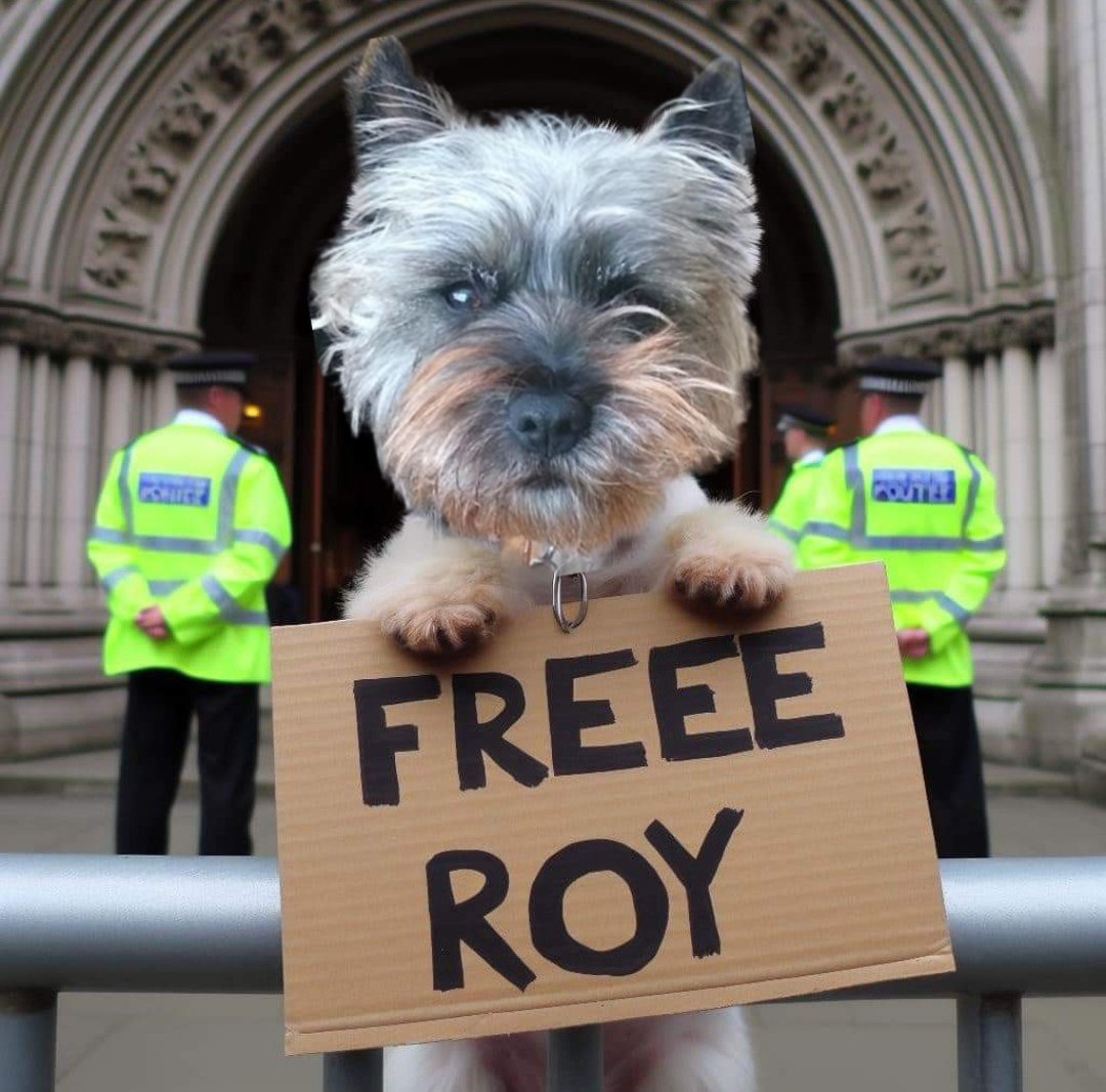 #DogsOfTwitter @itvcorrie #FreeRoy #CoronationStreet #Corrie #BovverBoys @Norman_Dillon1