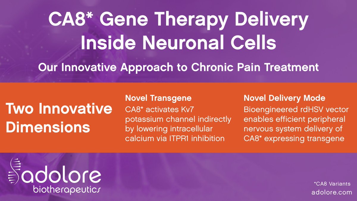 Learn about Adolore’s ​Innovative CA8* Gene Therapies. 

bit.ly/3IjiNSC  
#ChronicPain #PainManagement #BetterSolutions #PainSolution #PainRelief #GeneTherapy #NoOpioids