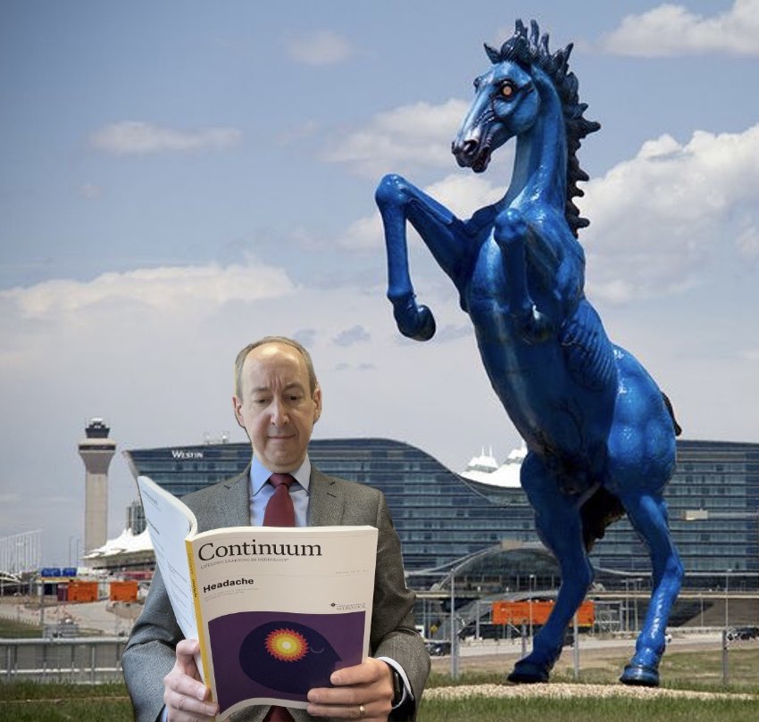 At the Denver airport, someone tried to interrupt my reading to tell me there’s a giant demonic blue horse right behind me. Haha, nice try! Thank you all for such a fantastic #AANAM this year! Grateful to see so many friends and colleagues. See you in 2025 in San Diego!