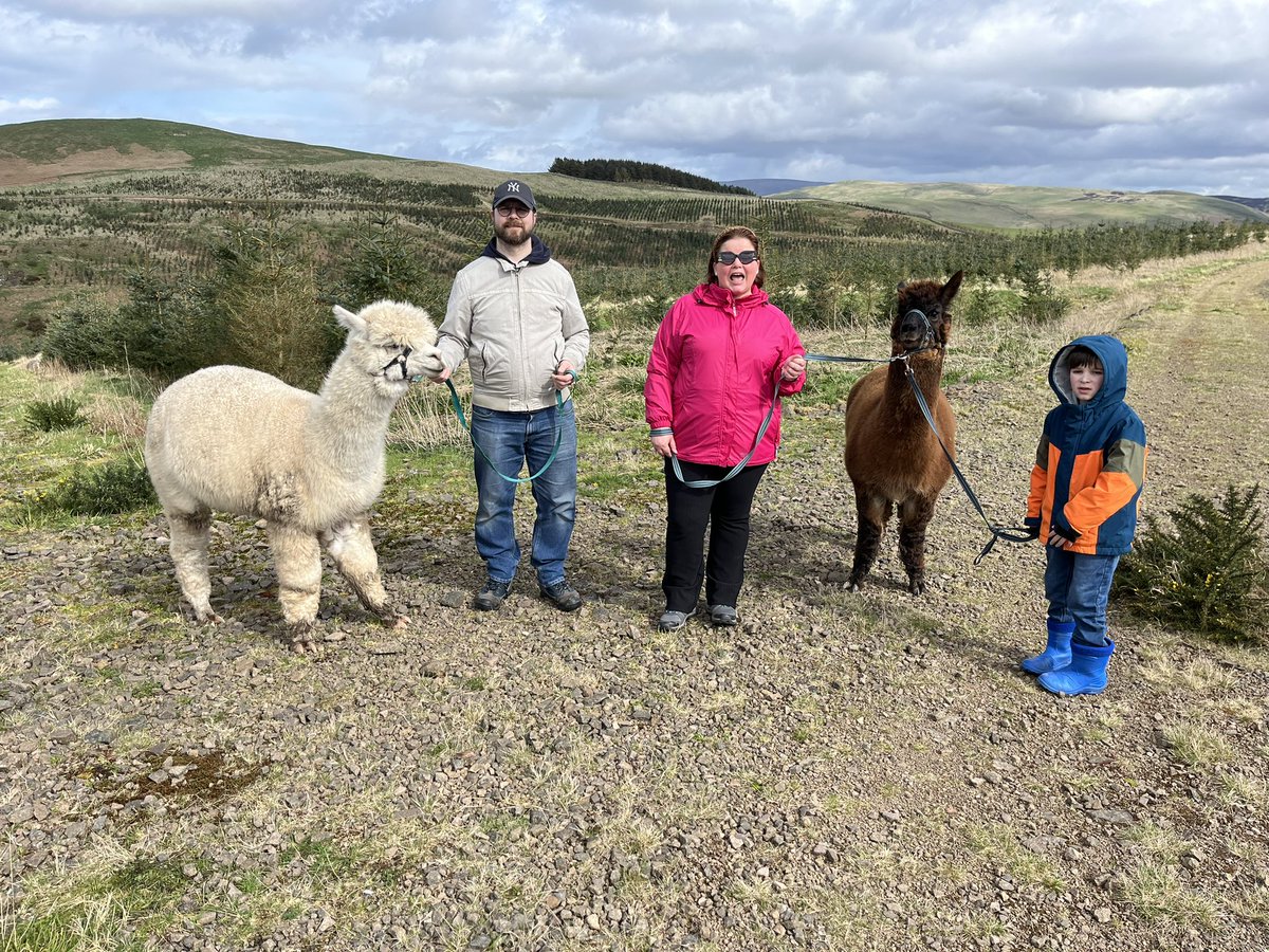beirhopealpacas's tweet photo. What do llamas do that alpacas don’t do but you think alpacas should do 🤔🦙 #riddles #theansweris #pack 😂🫣 https://t.co/d8VAIcEbOw
