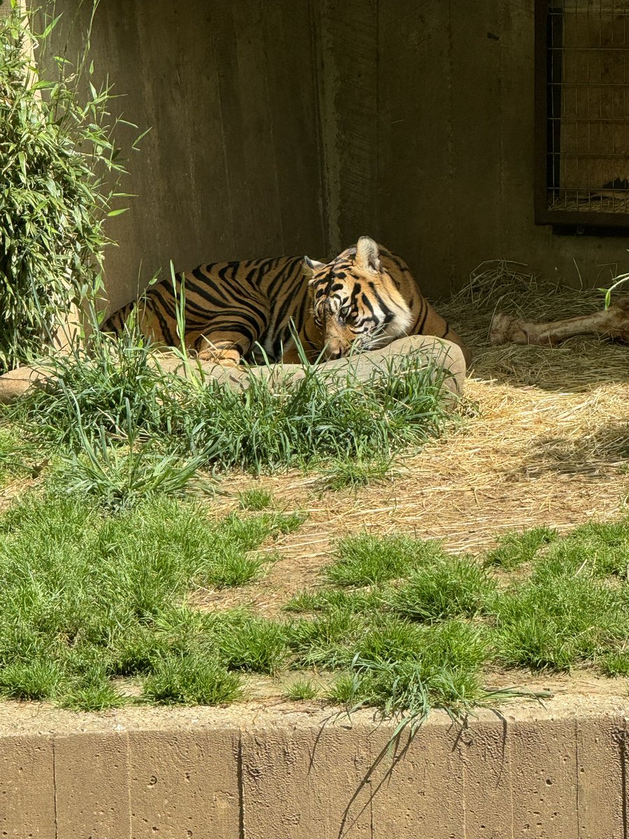 Samantha Castro tweet media