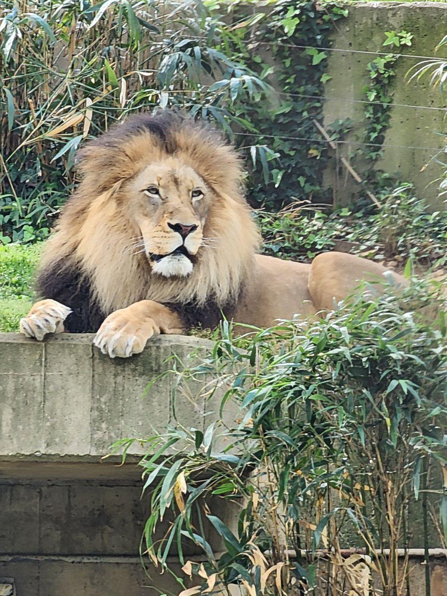 Samantha Castro tweet media