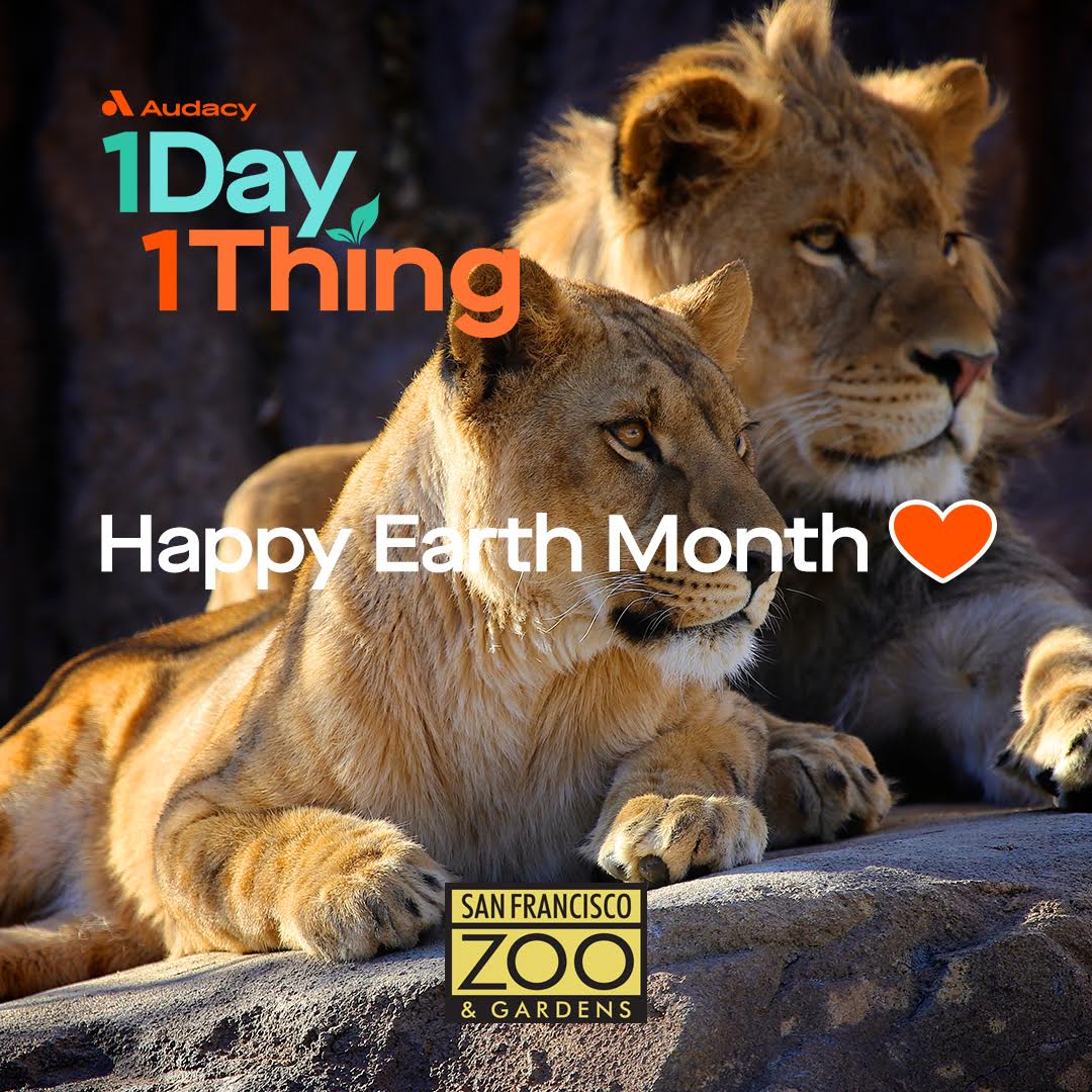 LIVE 105 is excited to be volunteering with @sfzoo for #EarthMonth. Every action towards #sustainability and #conservation makes a difference #1Day1Thing #lifeataudacy