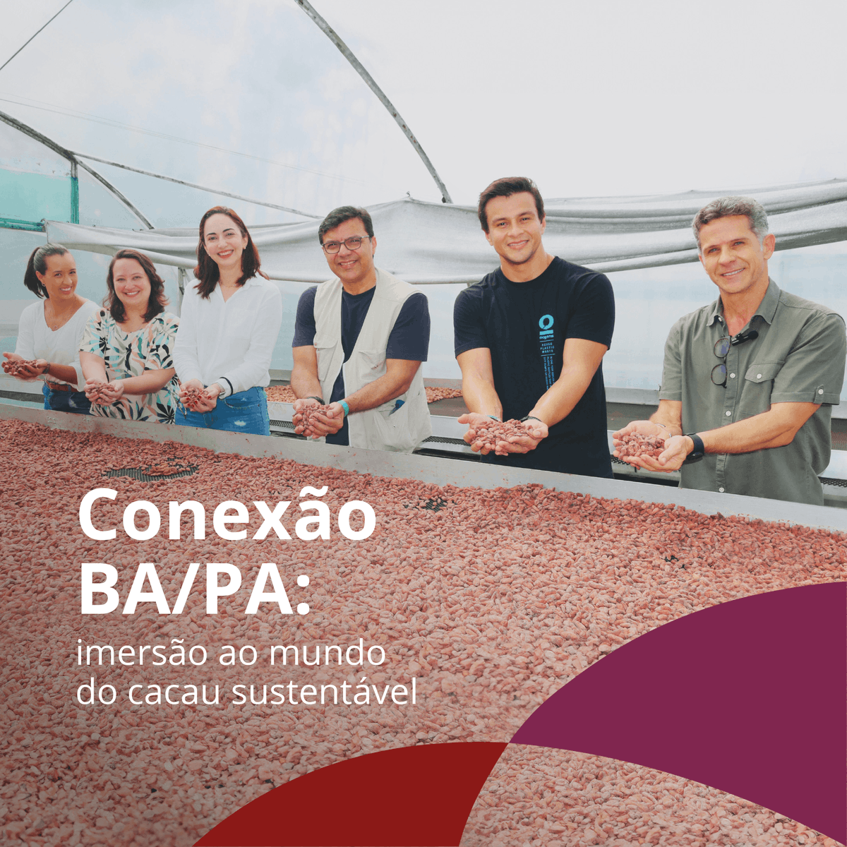 Instituto Arapyaú tweet media