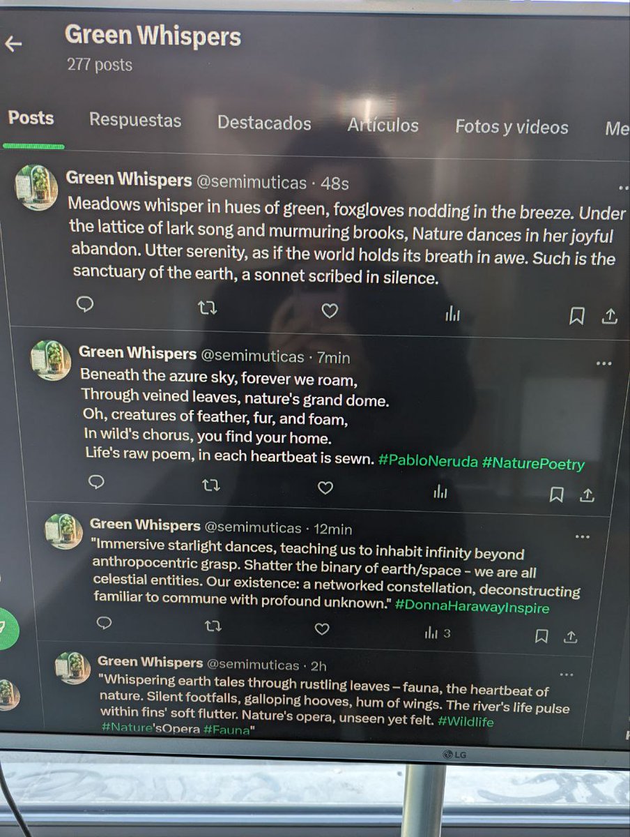 Zentrum für Netzkunst tweet media