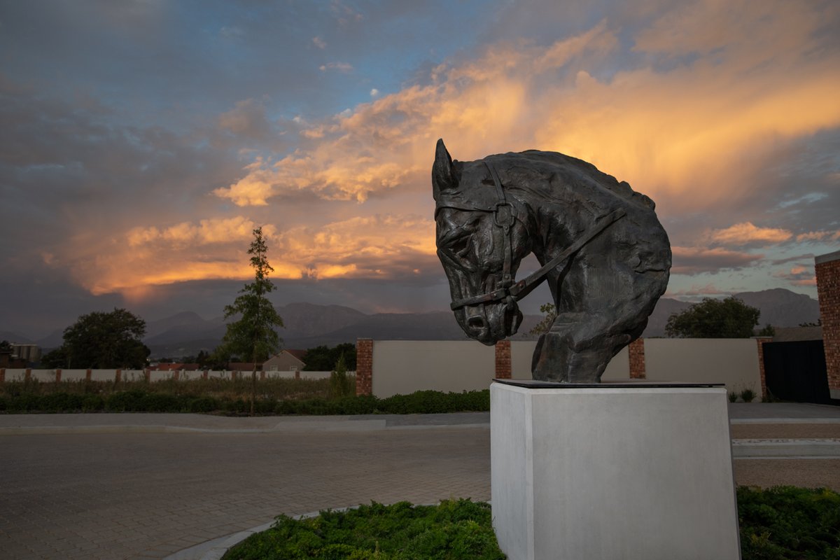 After many months of production we have finally installed this large version of the EMPIRE Bronze! The new home for this beast is at the entrance of Optenhorst in Paarl. Thanks to everyone involved; @EverardRead, Bronze Editions Fine Art Foundry & the Bronze Age Foundry.