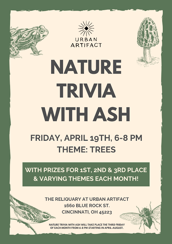 TOMORROW! 🌳 'Brush' off your Tree knowledge for Nature Trivia with Ash! Bring a team to compete in science and nature-themed trivia. Win prizes, share a pitcher, learn something! The theme this month is TREES🌳