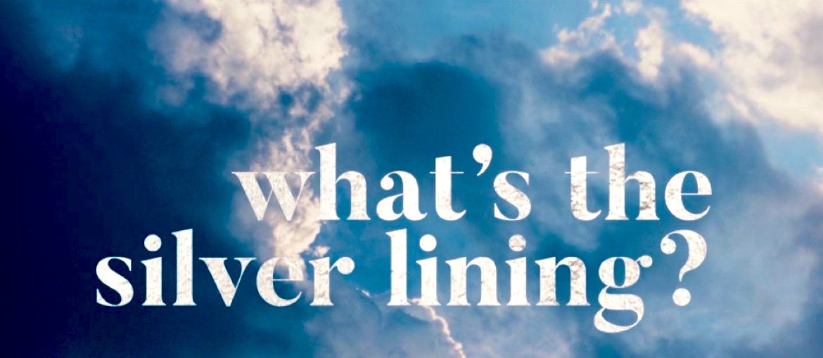 Noha Bishara tweet media