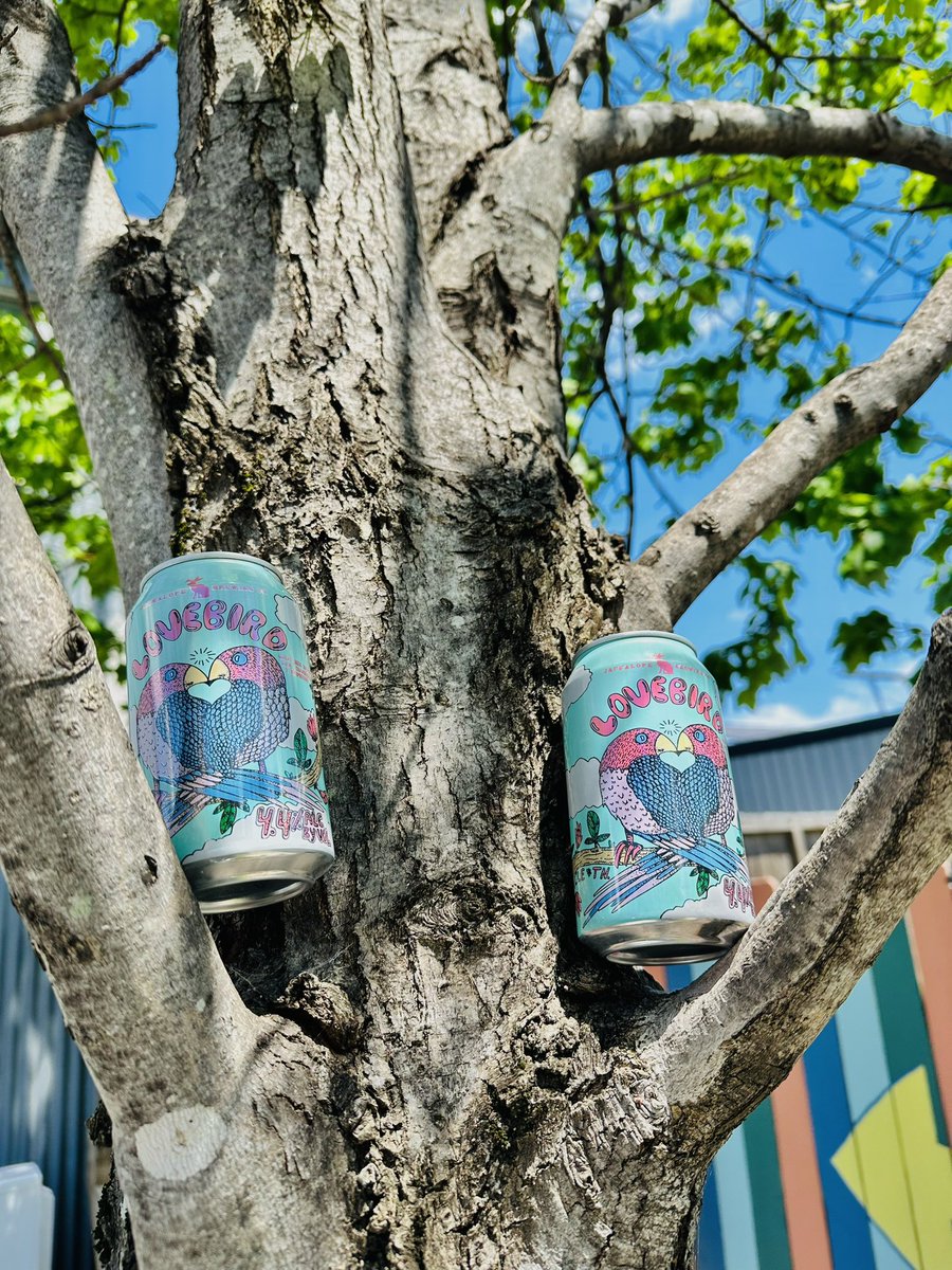 Pair of lovebirds in a tree
B-R-E-W-I-N-G
First comes wheat
Then comes berries
Pop that top and
#DrinkLegendary