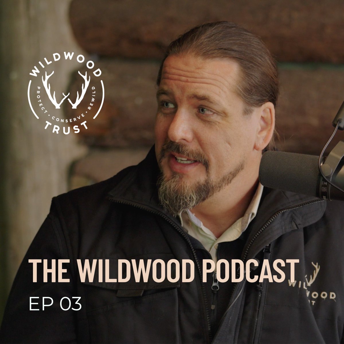 Episode 3 of The Wildwood Podcast is now live! We sit down with Paul Whitfield, Director General of Wildwood Trust, to explore his journey into the world of Wildwood and the impactful strides made in the last few years. youtube.com/watch?v=fedx1X… #wildwoodtrust #conservation