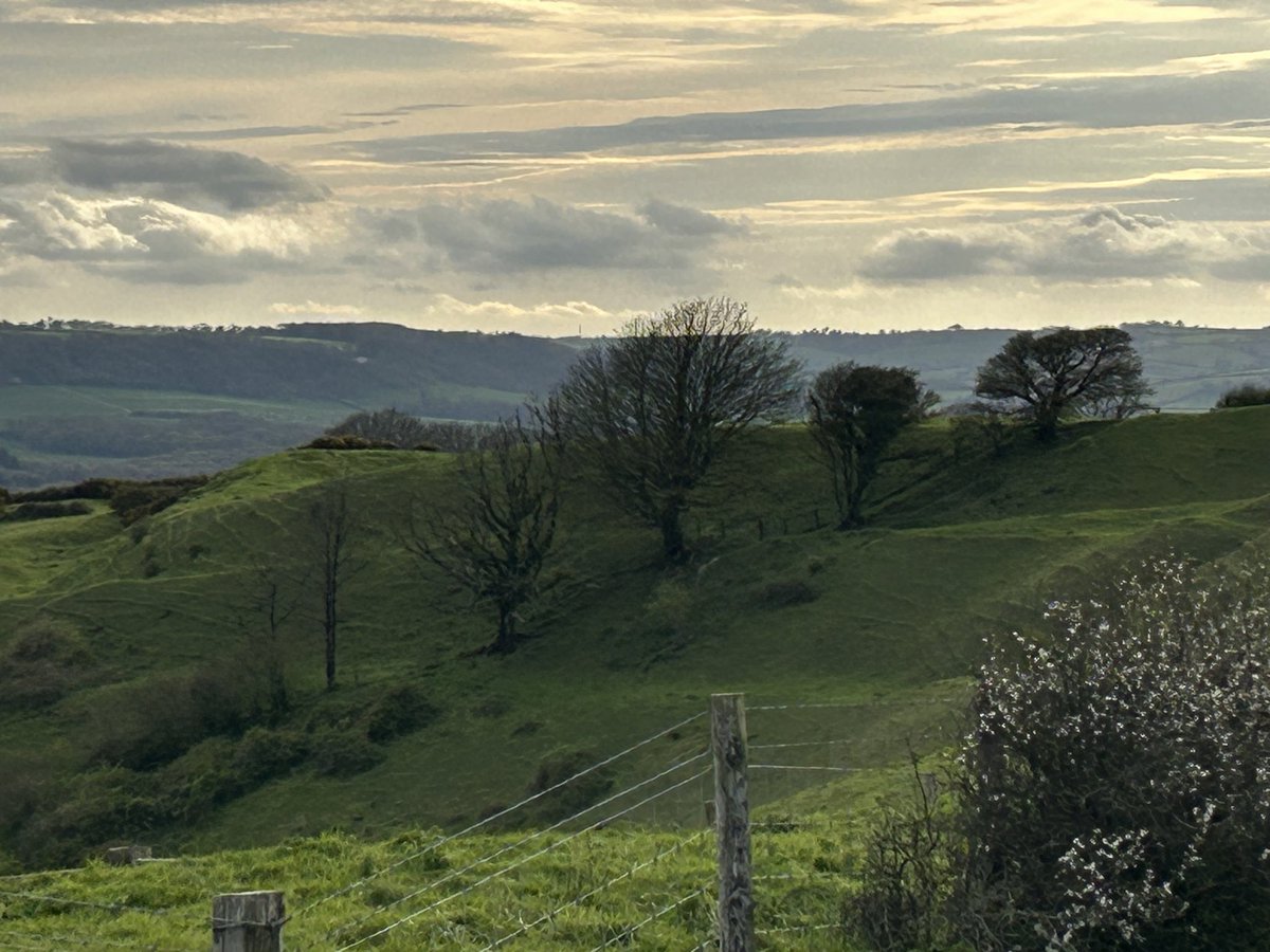 North Dorset looking pretty spectacular this evening