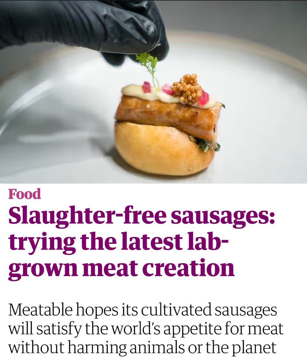 “Cultivated from cells plucked from a fertilised pig egg and grown inside steel fermentation vessels like those used to make beer...” A sausage made of 28% pork fat + textured pea, chickpea, soy, and wheat protein.