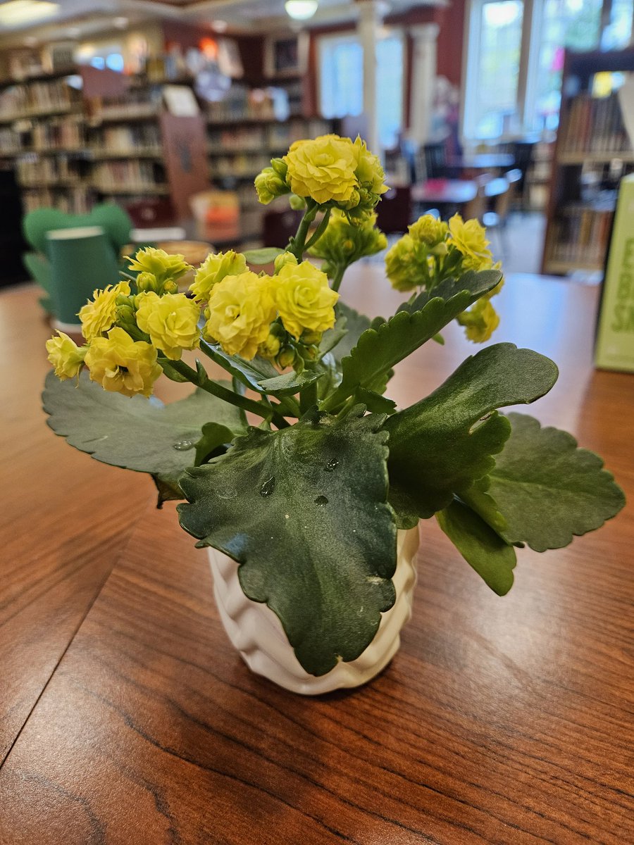 That moment when a sweet tiny patron and grandma bring you and your coworkers flowers as a thank you for being their librarians! 💛😍
#bestjobintheworld #luckylibrarian