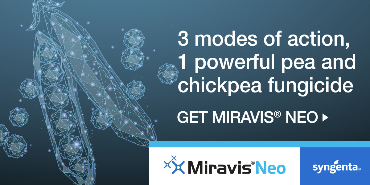 Turn on the power of triple-mode-of-action protection in your peas and chickpeas. Miravis® Neo fungicide delivers long-lasting control – for higher yields and quality at harvest. bit.ly/47OyigO