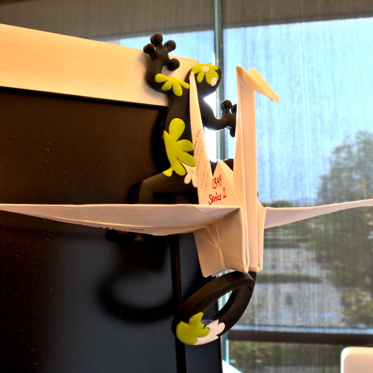 #Sticking around through #thick and #thin may have its #benefits when it comes to #good #friends. Never know when you'll #need a helping #hand (or #tail). 🦎

#Telepresence #Cisco #SJ21 #WeAreCisco #Alumni #TBT #ThrowbackThursday #Origami #PaperCranes