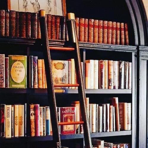 📚 “Las bibliotecas no se crean de la nada: se forman y se crecen. Por muy bueno que sea heredar una biblioteca, es mejor formar y crecer una ”.

🖋 Augustine Birrell