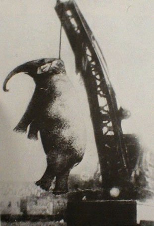 ShalinGala's tweet photo. Mary didn't deserve to be hung to death in 1916 after she fought back against her abuser, a circus employee wielding a bullhook. Please, remember Mary's story, and don't go to animal circuses. https://t.co/t8fCw6Lwst