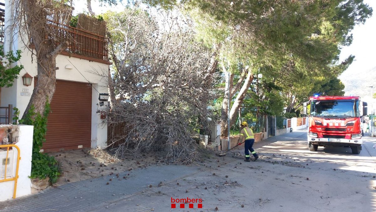 Aquesta tarda, hem atès una desena d'incidències relacionades amb el vent a les comarques de Girona, la majoria per retirar branques o arbres caiguts. 

#bomberscat

📷 Figueres
📷 Roses