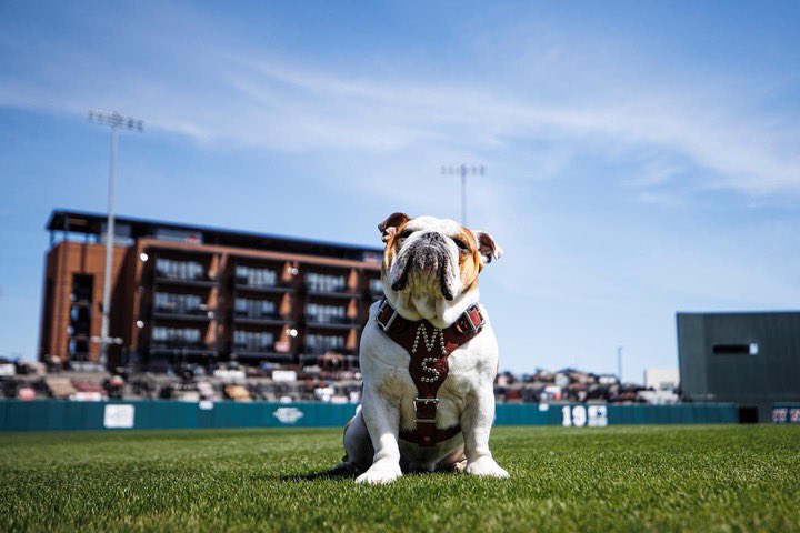 Everyone’s favorite weekend is right around the corner! See y’all in Starkvegas for Super Bulldog Weekend 🐾 #HailState