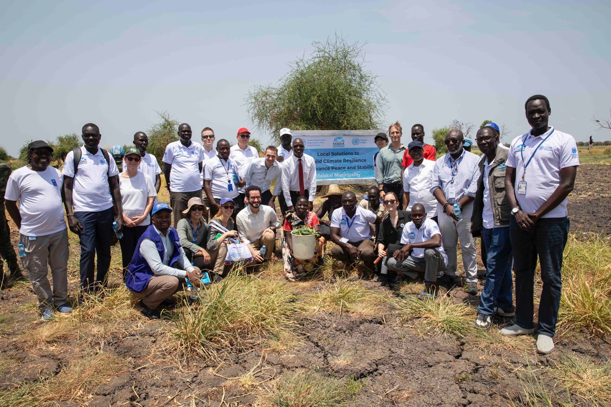 A team from the UN #Peacebuilding Fund 🕊️ visited our project site in Malakal & interacted with beneficiaries. With their funding, @FAO is able to support conflict-affected societies with agricultural assistance to sustain their livelihoods. 🙏 @UNPeacebuilding for the support.