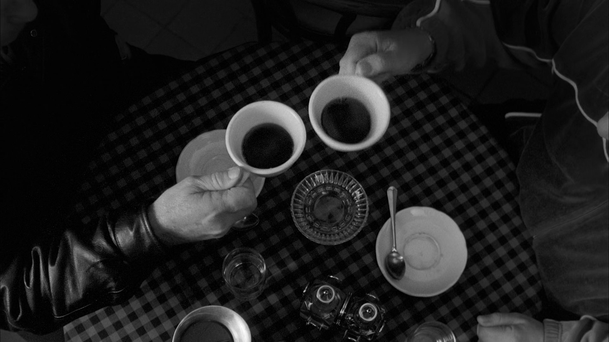 cinesthetic. tweet media