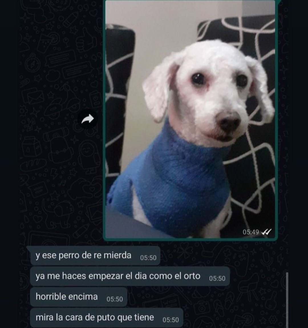 gente chamuyando (@gentechamuyando) on Twitter photo 