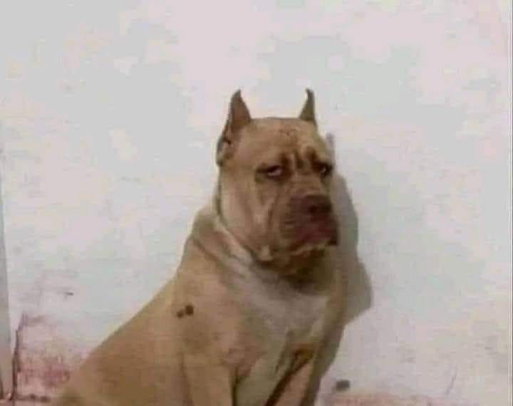 🚨Sorteo RAPIDIN 🚨
🗣️01 entrada NORTE para el partido contra SB. 
⏰ 3:00 pm
✅ Solo dale RT