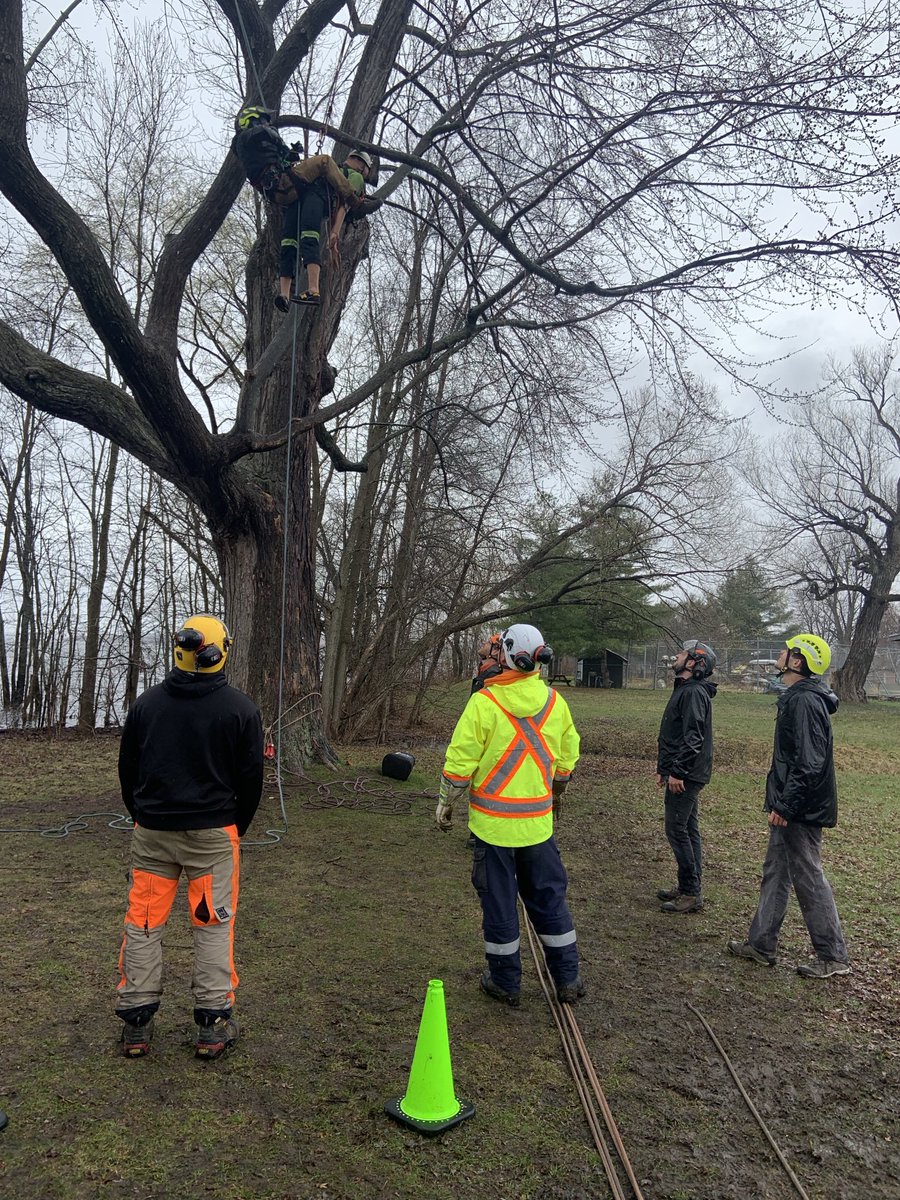 shall1971's tweet photo. It was a thrill to see our Arborist students finish their program with the Riverside Park annual climbing competition. #experiential ⁦@AlgonquinPEM⁩. Thank you to our amazing faculty, techs, volunteers and sponsors! https://t.co/0TSKuUrlOW