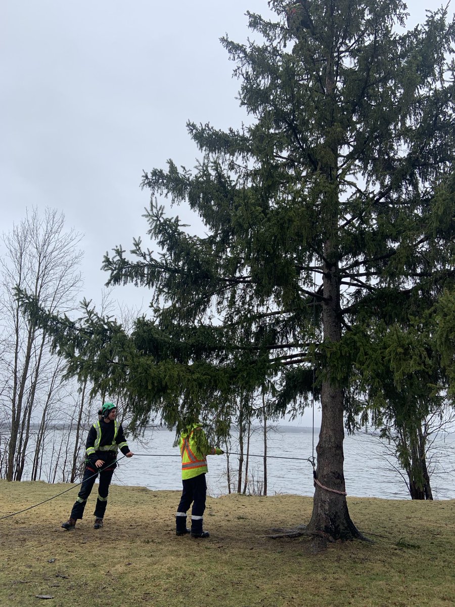 shall1971's tweet photo. It was a thrill to see our Arborist students finish their program with the Riverside Park annual climbing competition. #experiential ⁦@AlgonquinPEM⁩. Thank you to our amazing faculty, techs, volunteers and sponsors! https://t.co/0TSKuUrlOW