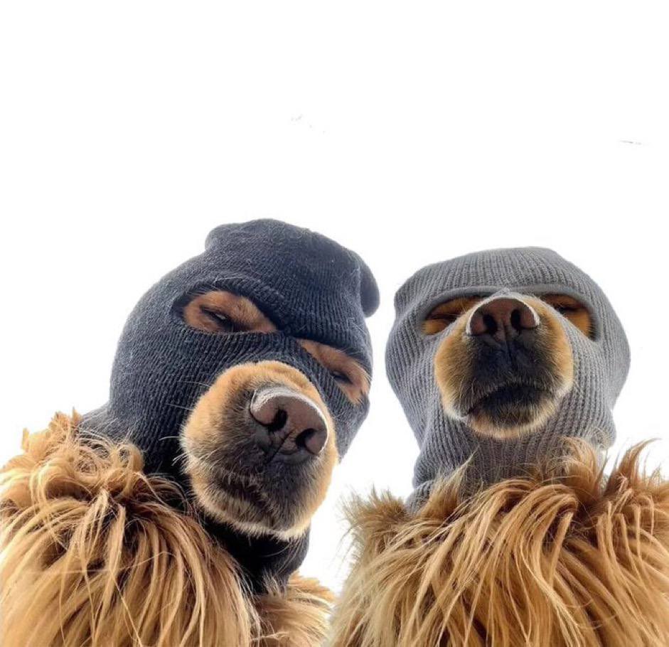 Community Takeover Recap 🔵

Pt. 1
- dev rugged so $ski masked up
- X shadow banned (fixing)
- CG auto reject because of the original deployer reputation 
- markets slow

Pt. 2
- 3k+ holders, 2.2k+ tg, 35M+ vol across pools
- web v2 + socials

Pt. 3
- $ski story continues..⛷️🎭