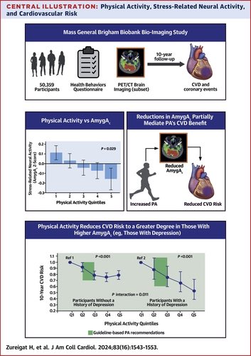 Effect of Stress-Related Neural Pathways on the Cardiovascular Benefit of Physical Activity. 🏃🏻‍♀️
PA reduces CVD risk to a greater extent among individuals with depression, apparently by acting through the brain’s stress-related activity.
#physicalactivity
jacc.org/doi/abs/10.101…