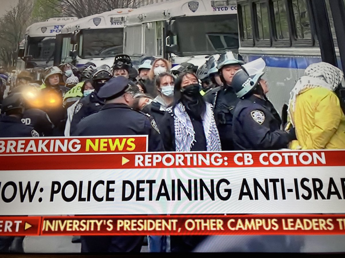 Is anyone else surprised these anti-Israel protesters are a bunch of mask wearing liberals? Glad to see NYPD detain them even though we all know there will be no consequences.