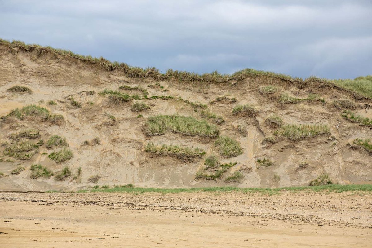 On our weekly series 'Ours To Protect', we take a closer look at biodiversity and sustainability in Co Clare. This week, we hear about the Seafield Conservation Forum and the work they’re doing to protect the dune network in their area. soundcloud.com/clarefm/ours-t… @OursProtect