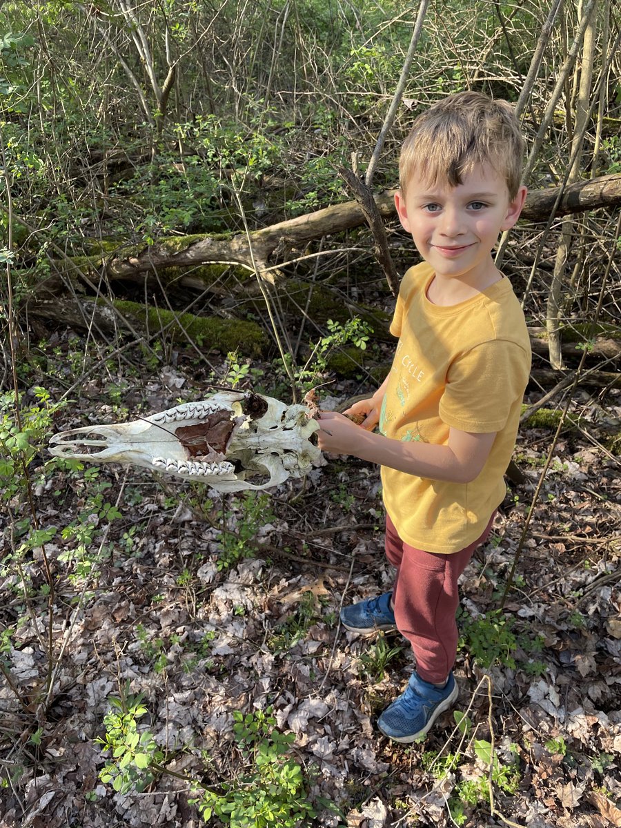 Decent haul of mushrooms. But by far Fletch’s favorite find…..