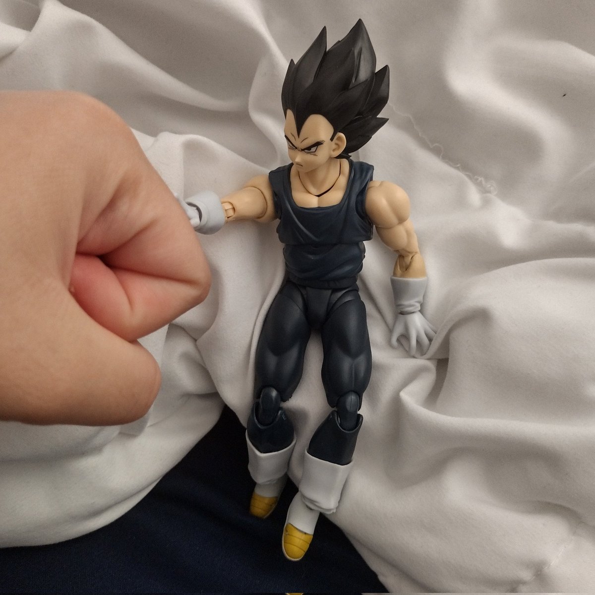 I love owning figures but I literally don't know what the hell to do with them so sometimes I just. Chill with them for a bit. What's good Vegeta how're doing