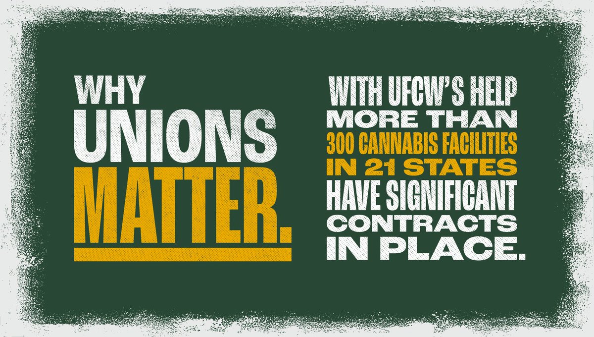 Today, UFCW has successfully organized more than 300 cannabis facilities in 21 states across the country with significant contracts in place that secure the essential benefits our members have earned & deserve. #WhyUnionsMatter! ➡️ bit.ly/40p8Sl0