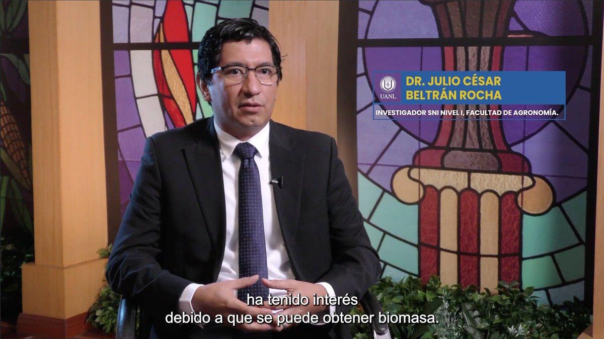El investigador de la @AgronomiaUANL, el Dr. Julio Beltrán, apunta hacia el cultivo de microalgas con el objetivo de obtener biomasa, tratamiento de agua, entre otros. #InvestigadoresUANL ¡Conoce más! 🎦➡️youtu.be/yk8hoiT7s6o