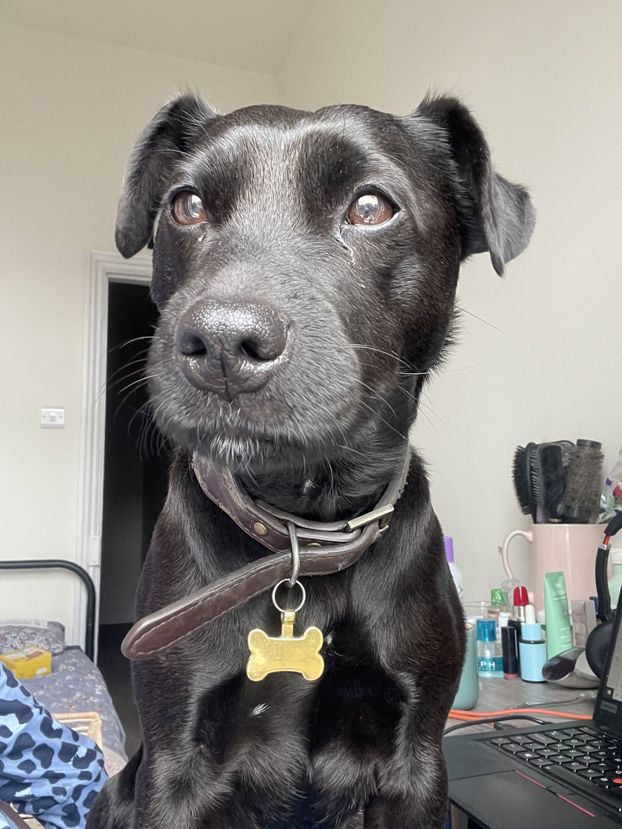 Rebecca McCaughey tweet media